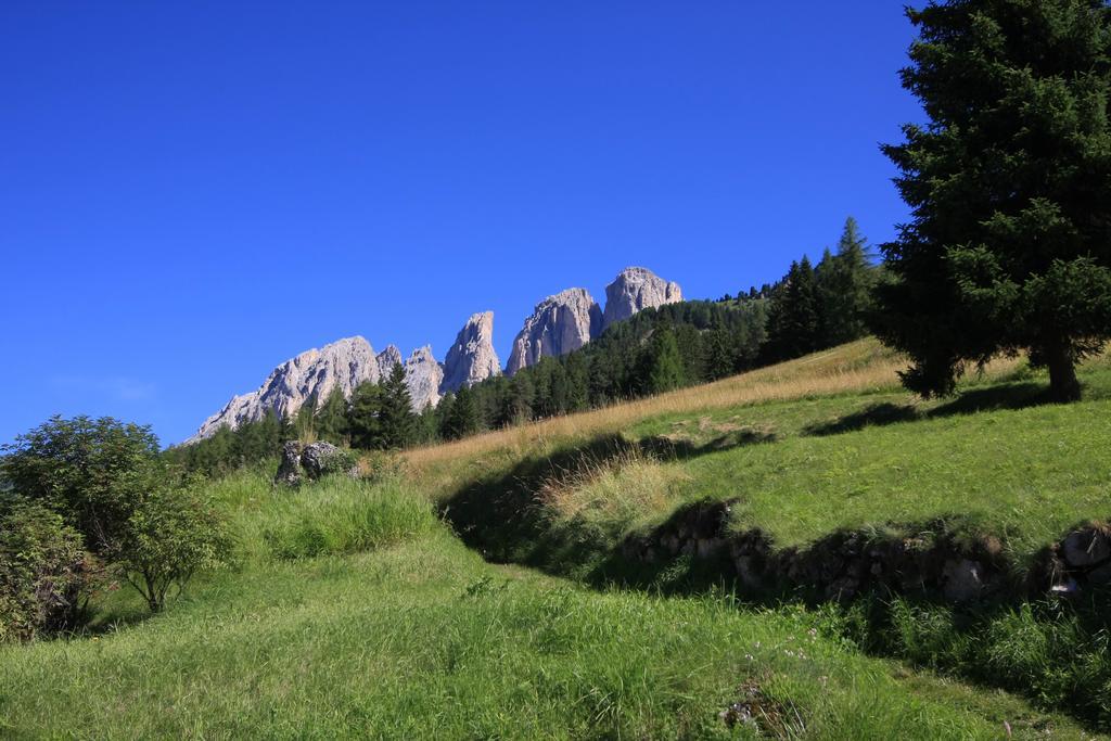Chalet Pian Campitello di Fassa Exterior foto
